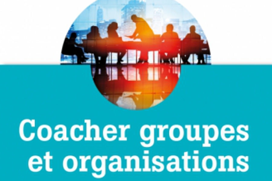 François Vergonjeanne, Coacher groupes et organisations : la TOB